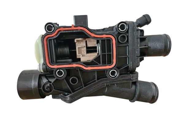 Termostat Ford 2.0 TDCi DW10F 2264810
