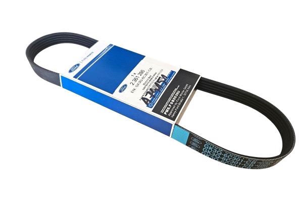 Pasek napędowy pompy wody Ford 2.0 EcoBlue Transit RWD / 4WD 2361286