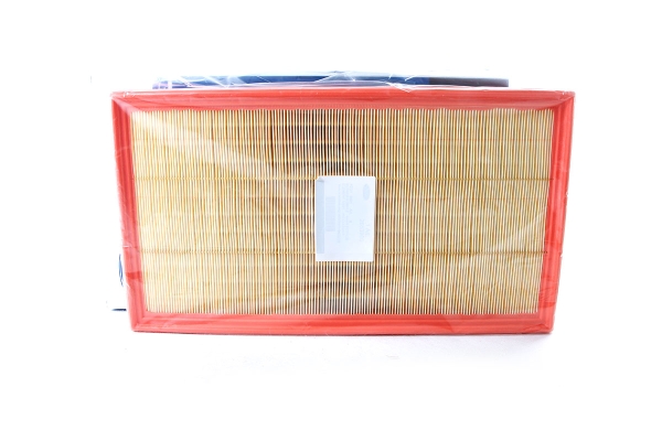 Filtr powietrza Ford Custom Mk2 2653980