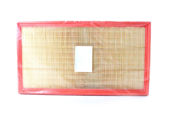 Filtr powietrza Ford Custom Mk2 2653980