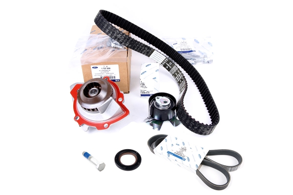 Zestaw rozrządu Ford 2.0 TDCi DW10C