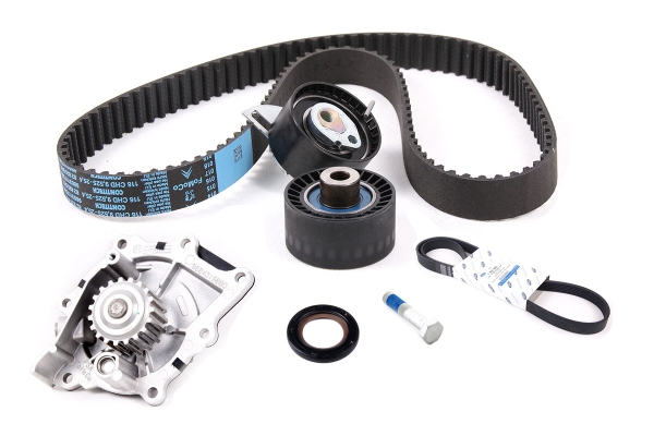 Zestaw rozrządu Ford 2.0 TDCi DW10F